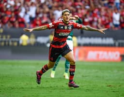 Palmeiras x Flamengo - Pedro