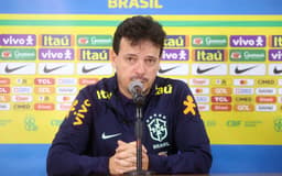 fernando_diniz_peru_brasil_2023-aspect-ratio-512-320