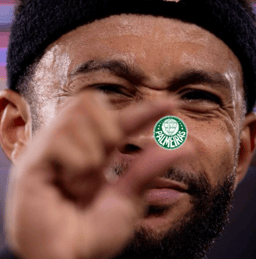Miniatura da imagem: Memes Flamengo é campeão da Libertadores sobre o Palmeiras (1)