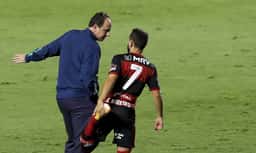 Miniatura da imagem: