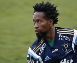 Ze Roberto - Palmeiras