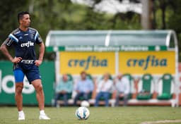 Treino Do Palmeiras