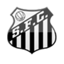 Escudo - Santos