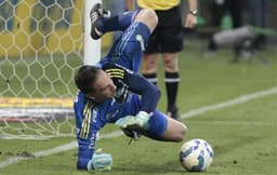 Copa do Brasil - Palmeiras x Santos - Fernando Prass (foto:AFP)