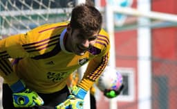 Júlio César, goleiro do Fluminense (Foto: Nelson Perez/F.F.C)