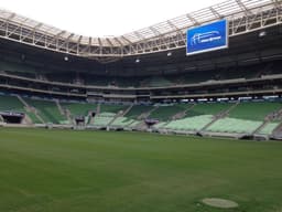 Novo gramado do Allianz Parque (Foto: Thiago Ferri)