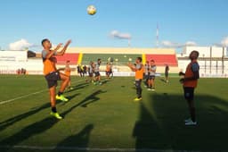 Treino do Botafogo (Foto: Reprodução/Twitter)