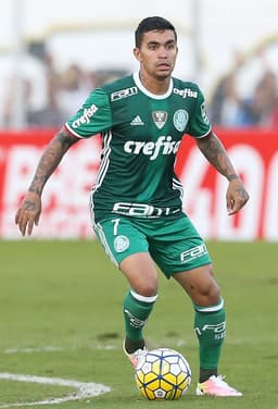 Dudu - Palmeiras