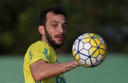 Dracena - Palmeiras (FOTO: Cesar Greco/Palmeiras)