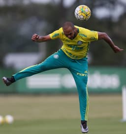 Alecsandro - Palmeiras (FOTO: Cesar Greco/Palmeiras)