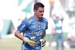 Vagner - Palmeiras