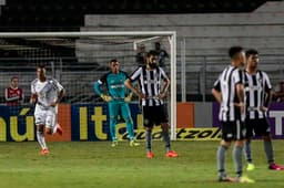 Ponte Preta x Botafogo (Foto:Ale Cabral/LANCE!Press)