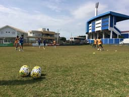 Treino do Palmeiras no CT do Avaí