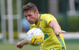 Fabiano durante treino do Palmeiras (Foto: Cesar Greco/Palmeiras)