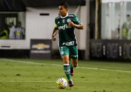 1º) Palmeiras: 67 pontos - clique e veja os concorrentes e os líderes da 33ª rodada nos outros Brasileiros