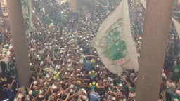 Torcida do Palmeiras tem protagonizado enormes festas para apoiar o time na reta final do Campeonato Brasileiro