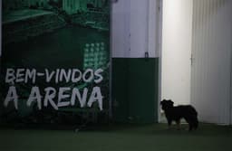 Além de homenagens à Chapecoense, equipe catarinense viu sua ausência sentida no WO duplo contra o Galo