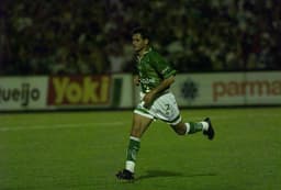 Arce - Palmeiras