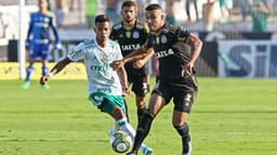 Ponte Preta x Palmeiras