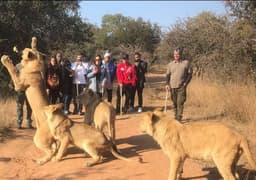 Neymar curte férias na África com a família e namorada