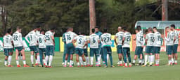 Palmeiras