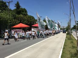 Torcida do Palmeiras