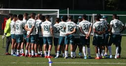 Os primeiros dias de Roger no Palmeiras