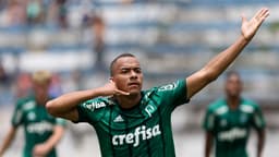 Papagaio - Palmeiras x Taubaté