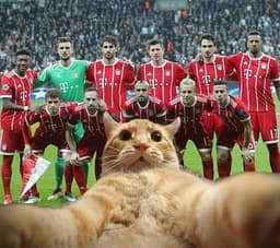 Bayern brinca com a invasão do gato