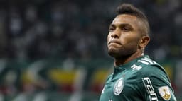 Borja fez os três gols do Palmeiras na vitória sobre o Junior Barranquilla, na noite desta quarta, no Allianz Parque. Fernando Prass foi o outro destaque, com grande defesas, inclusive um pênalti. Verdão passou invicto às oitavas da Libertadores (notas por Thiago Ferri)&nbsp;