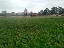 Gramado foi instalado nesta semana