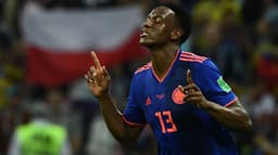 Yerry Mina