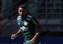 Antônio Carlos Palmeiras