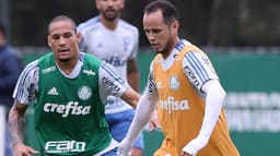 Treino Palmeiras guerra