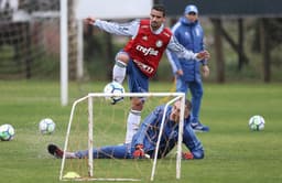 Palmeiras - Treino Chapecó