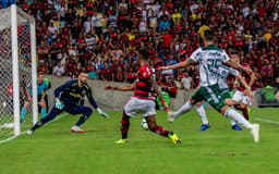 Flamengo x Palmeiras