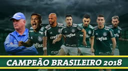 O Palmeiras, campeão do último Brasileirão, foi o clube da Série A que teve a maior receita, no total, em 2018. A informação é da empresa Sports Value, especialista em marketing esportivo. O Verdão superou o Flamengo, que aparece no estudo na segunda colocação. Confira a seguir todos os detalhes no ranking nesta galeria especial do LANCE!, do último ao primeiro lugar.