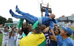 Palmeiras Campeão Brasileiro - 2018