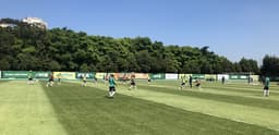 Treino - Palmeiras