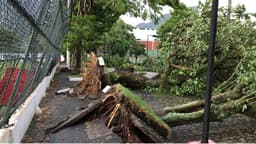 A forte chuva no Rio de Janeiro, na noite da última quarta-feira, mudou a rotina na sede do Flamengo, que fica na Gávea, zona sul da cidade. Com quedas de árvores e alagamentos, o local foi interditado na manhã desta quinta-feira. Veja as fotos na galeria.