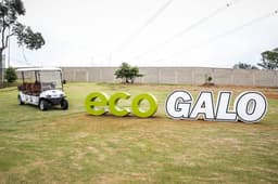 Eco Galo