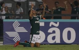 Palmeiras x Novorizontino Goulart