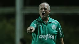 San Lorenzo x Palmeiras Felipão