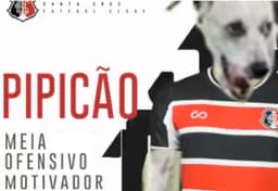 Pipicão - Santa Cruz