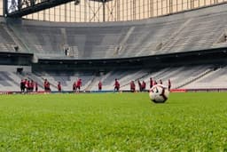 Gramado da Arena da Baixada