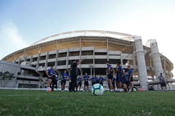 Botafogo - elenco