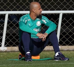 Felipe Melo Palmeiras