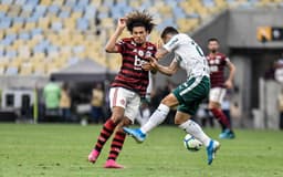 Flamengo x Palmeiras - Willian Arão