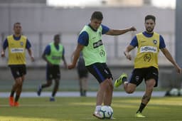 Botafogo - treino - Pimpão