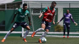 Treino - Palmeiras